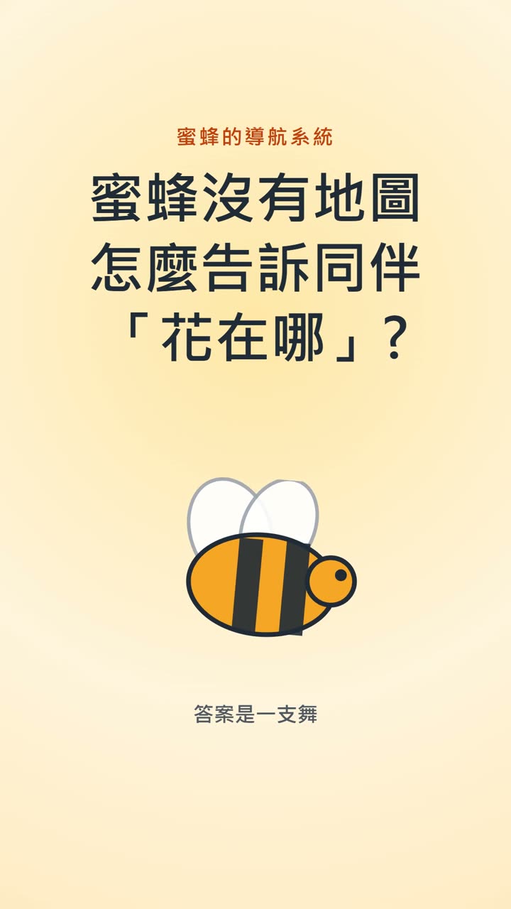 蜜蜂舞蹈 科普動畫